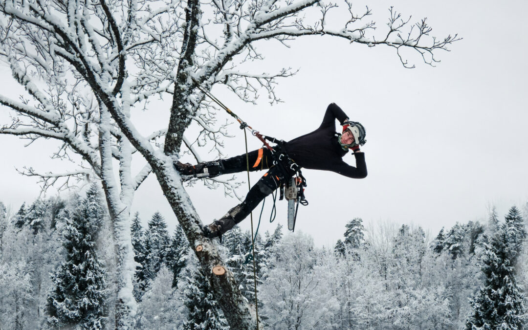 Neli toimingut, mida enne talveperioodi kindlasti teha