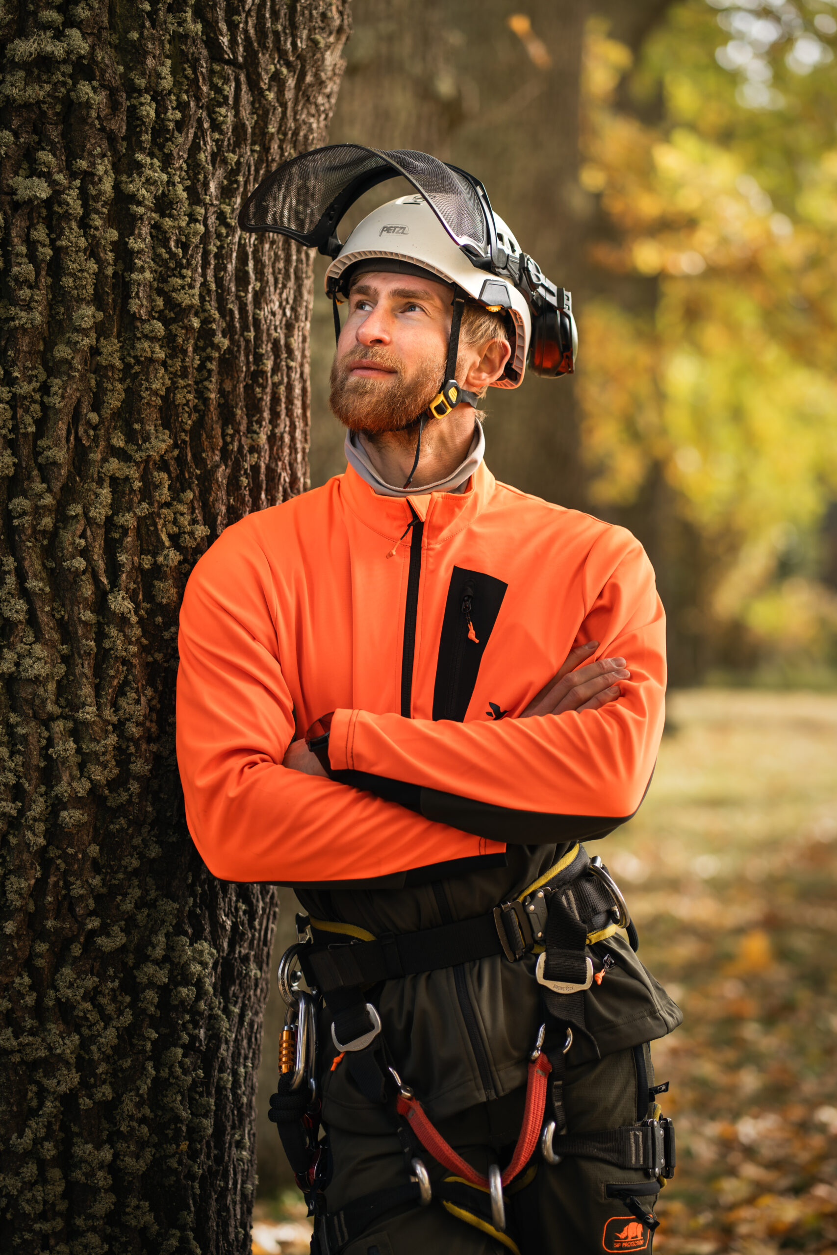 Arborist Sergei Vertepov