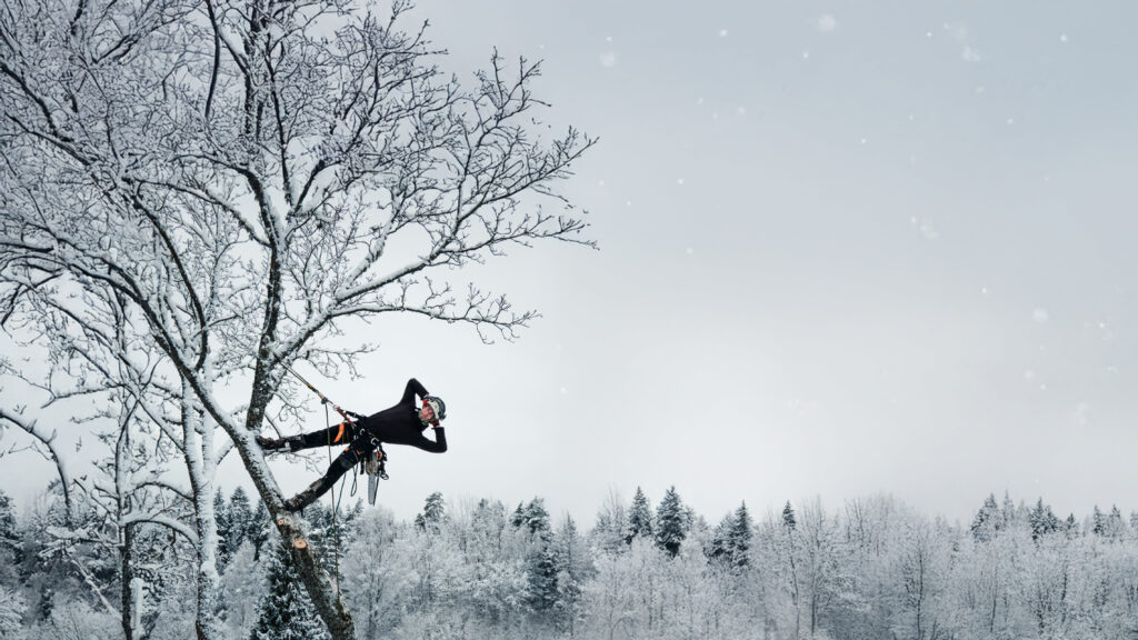 Arborist talvel puud hooldamas