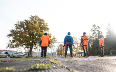 Orissaare staadionitamme võra redutseerimine