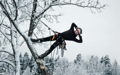 Neli toimingut, mida enne talveperioodi kindlasti teha