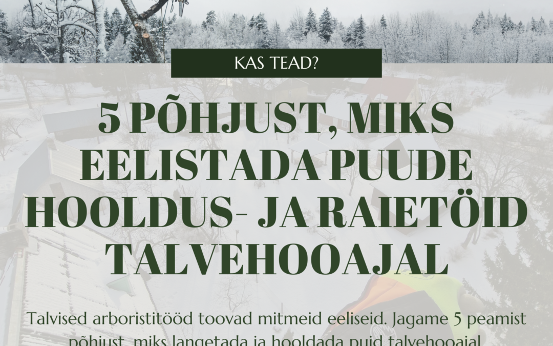 5 põhjust, miks eelistada puude hooldus- ja raietöid talveperioodil