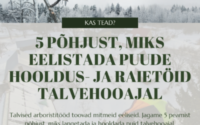 5 põhjust, miks eelistada puude hooldus- ja raietöid talveperioodil